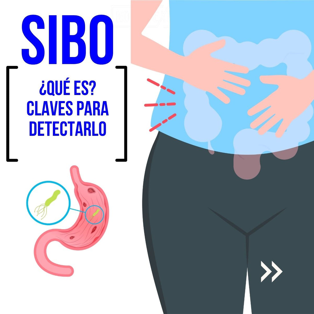¿Qué es el SIBO y cómo saber si lo tienes? Síntomas y diagnóstico