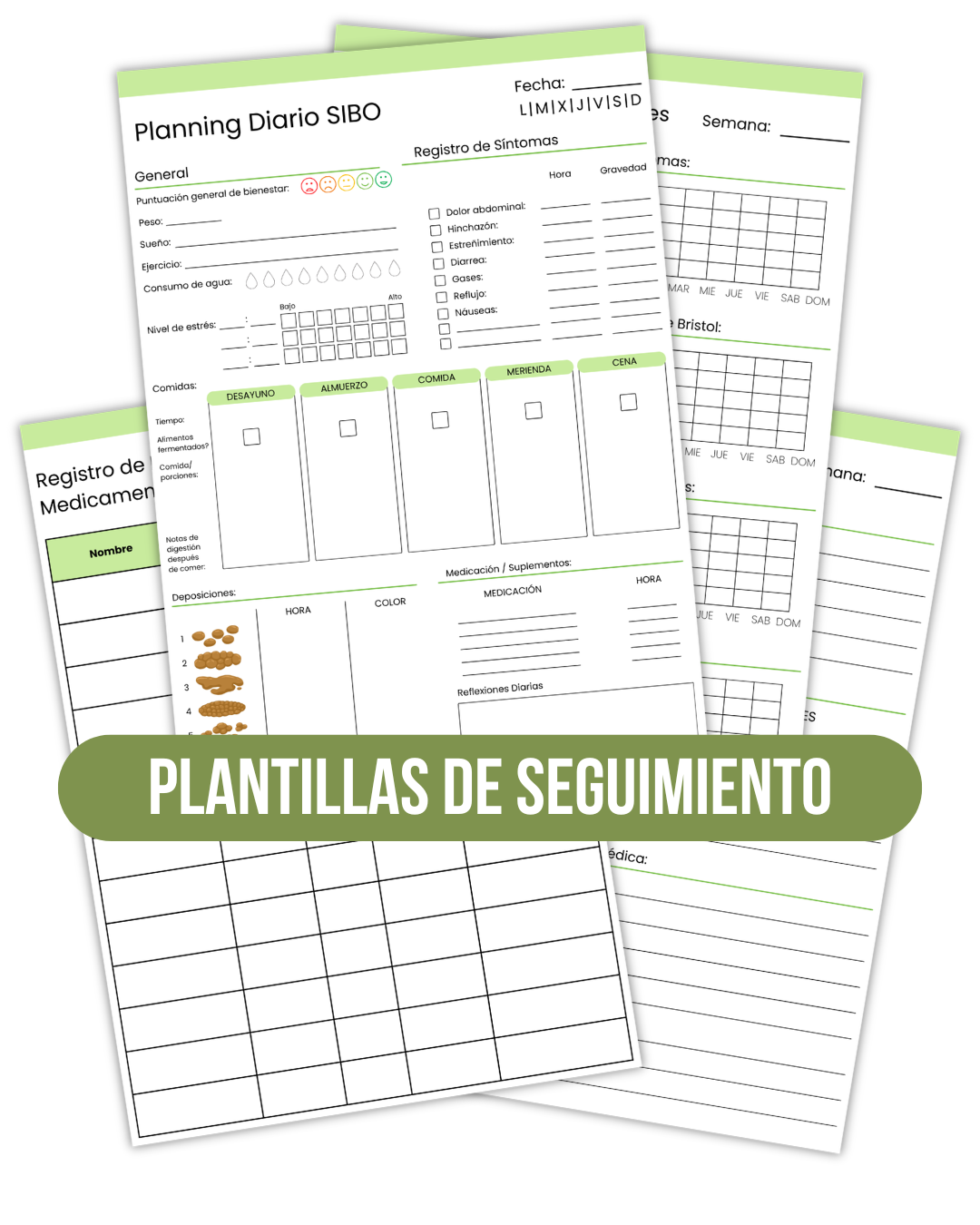 Guías y Plantillas SIBO