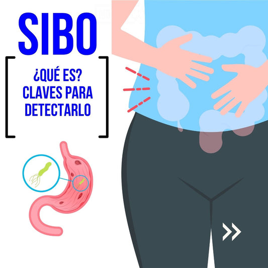 ¿Qué es el SIBO y cómo saber si lo tienes? Síntomas y diagnóstico